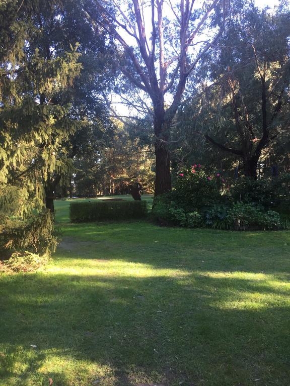Sherwood Park Bed And Breakfast Somerville Exteriér fotografie